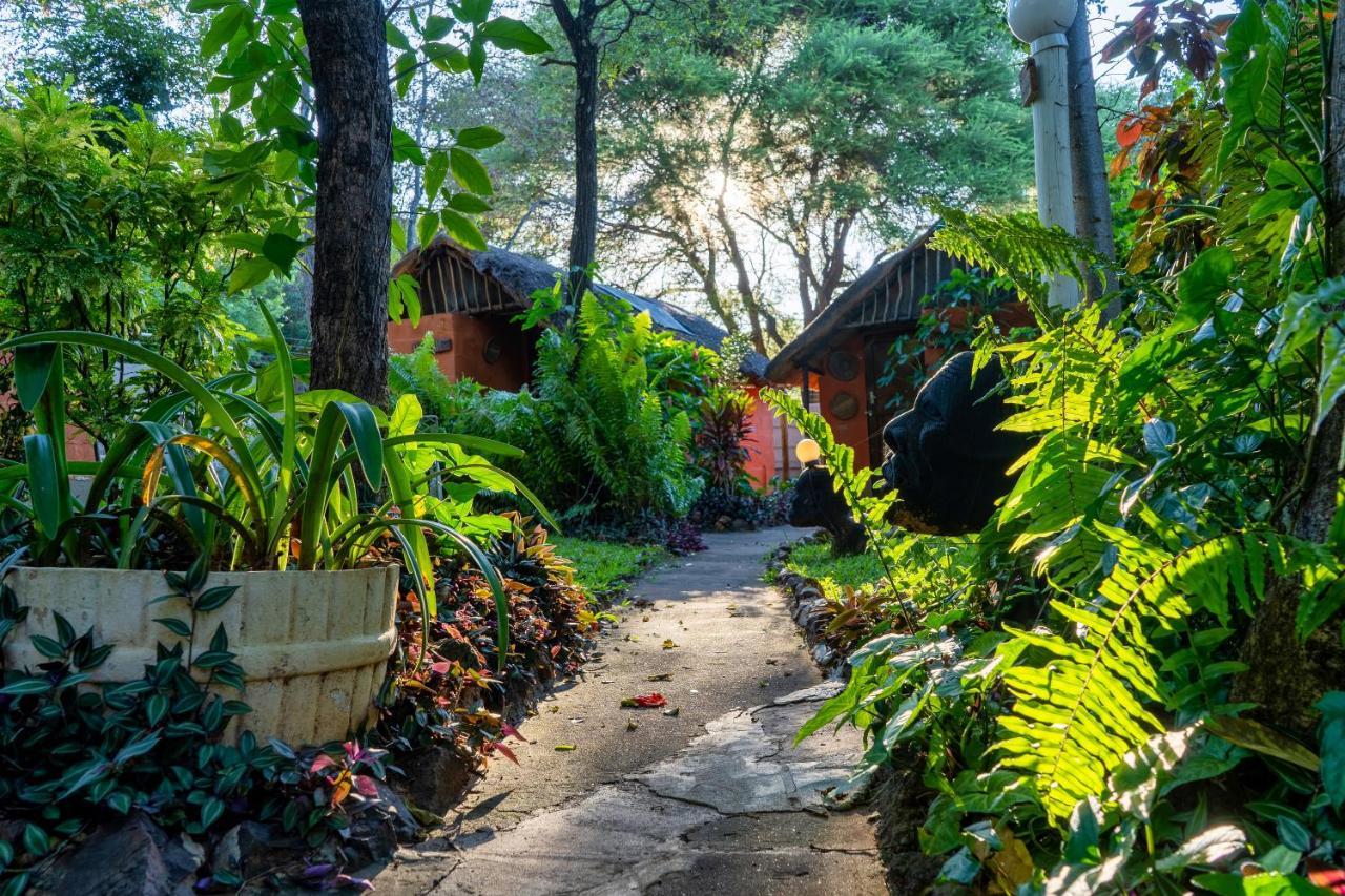 วิกตอเรีย ฟอลล์ แบ็กแพกเกอร์ ลอดจ์ Hostel วิกตอเรียฟอลส์ ภายนอก รูปภาพ