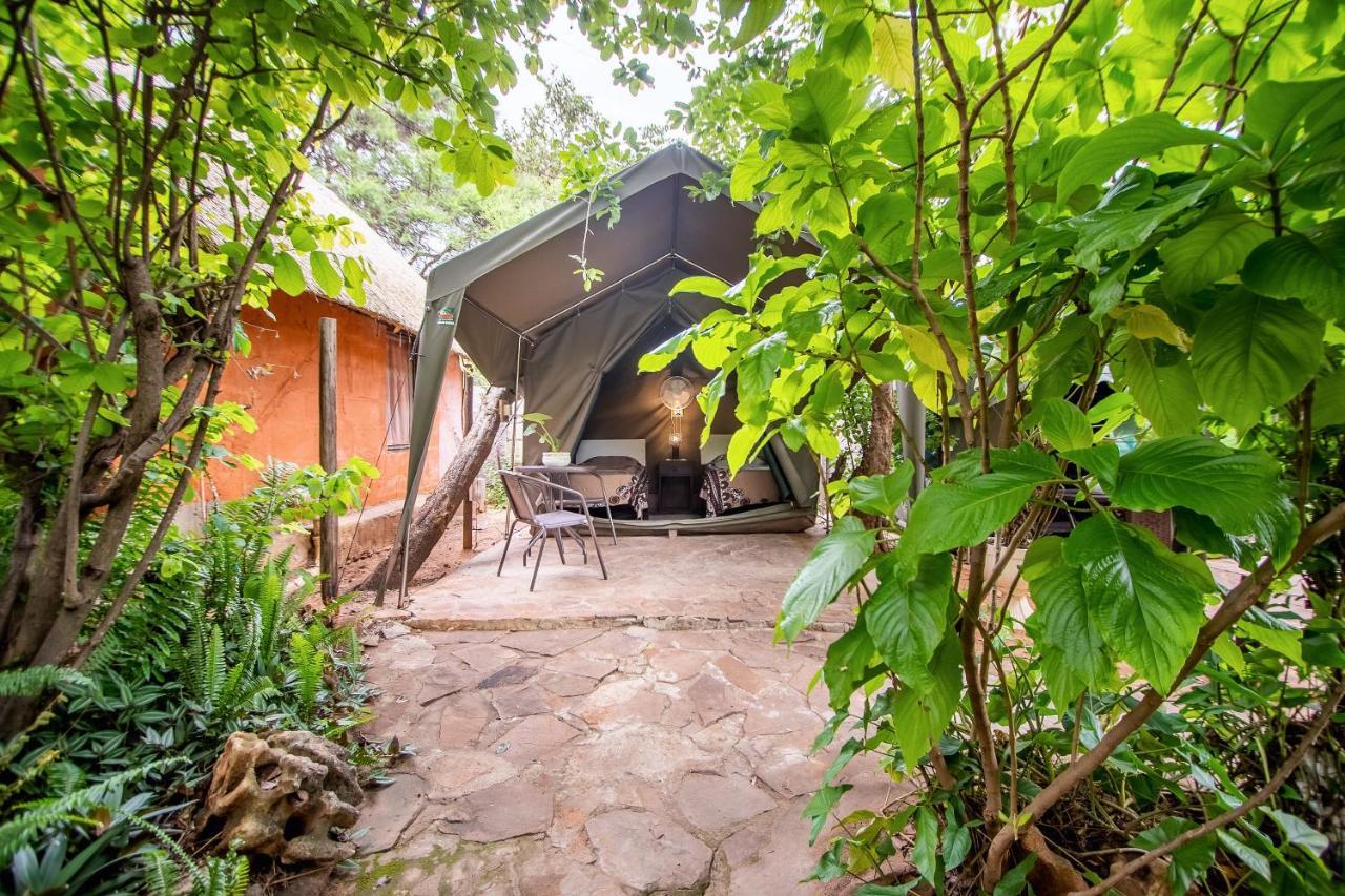 วิกตอเรีย ฟอลล์ แบ็กแพกเกอร์ ลอดจ์ Hostel วิกตอเรียฟอลส์ ภายนอก รูปภาพ