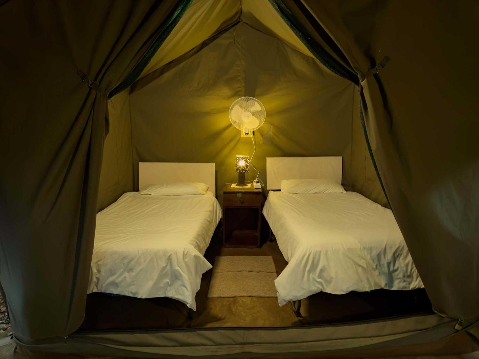 วิกตอเรีย ฟอลล์ แบ็กแพกเกอร์ ลอดจ์ Hostel วิกตอเรียฟอลส์ ภายนอก รูปภาพ