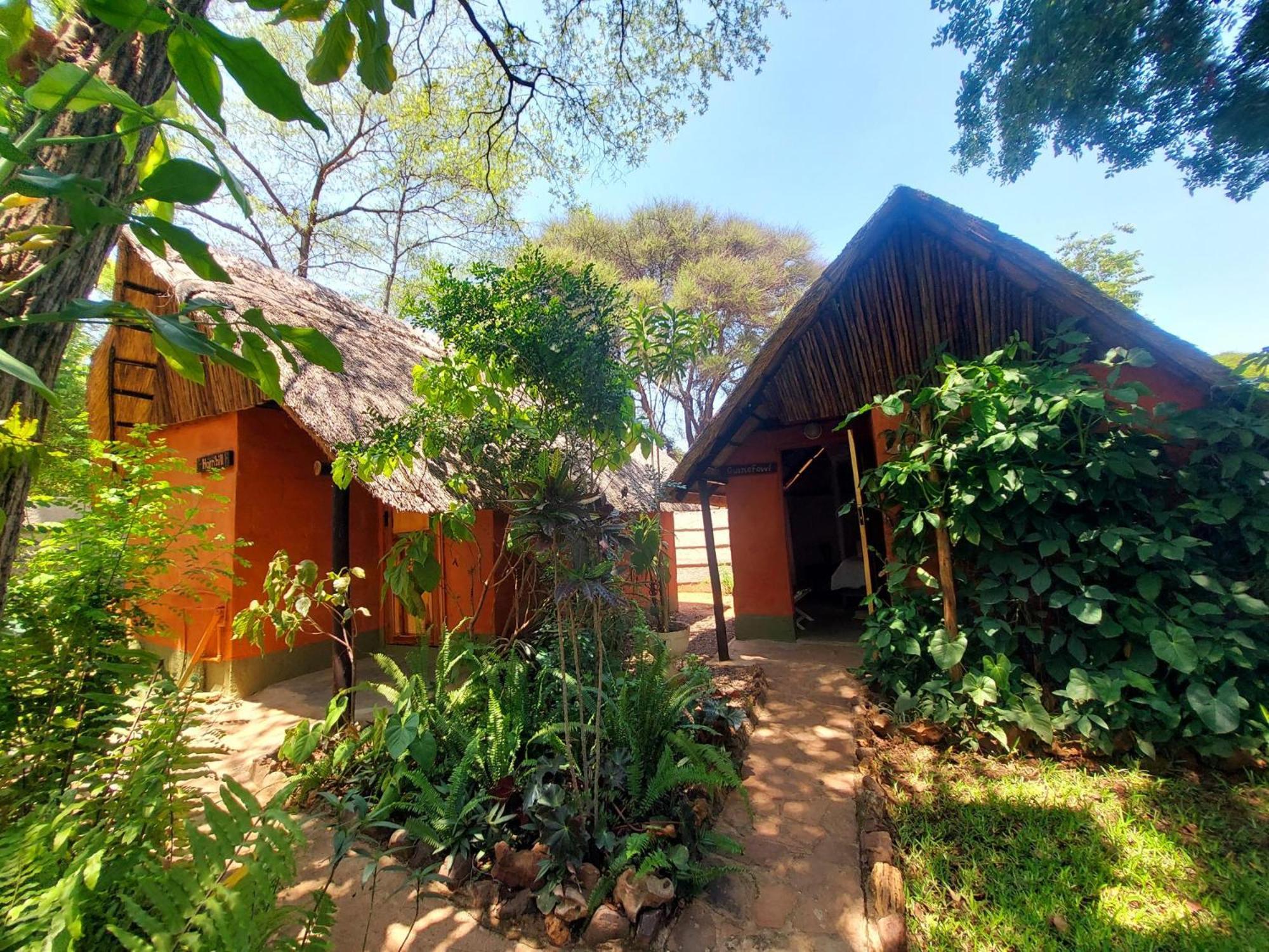 วิกตอเรีย ฟอลล์ แบ็กแพกเกอร์ ลอดจ์ Hostel วิกตอเรียฟอลส์ ภายนอก รูปภาพ
