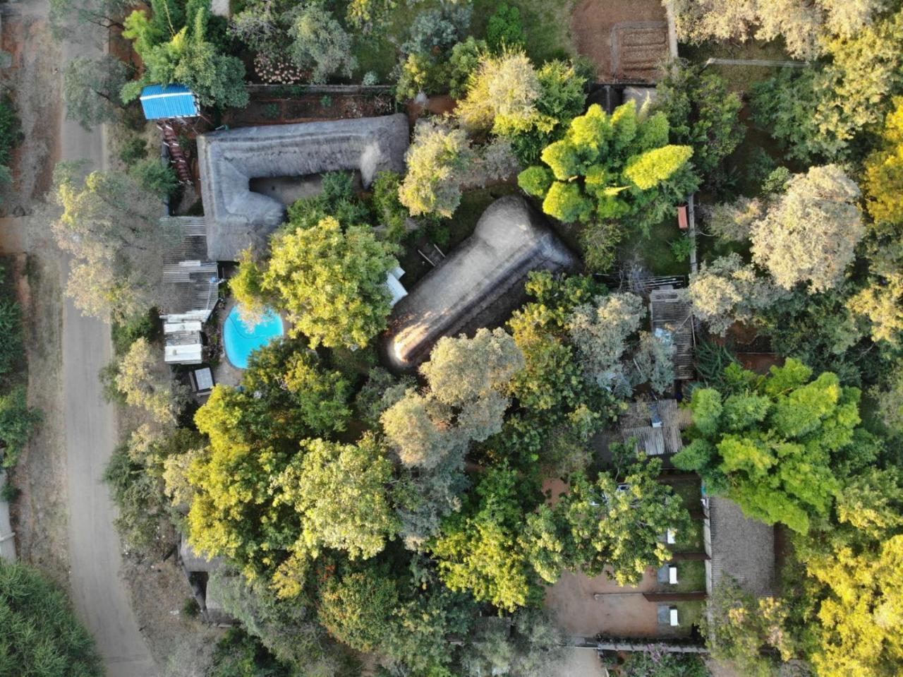 วิกตอเรีย ฟอลล์ แบ็กแพกเกอร์ ลอดจ์ Hostel วิกตอเรียฟอลส์ ภายนอก รูปภาพ